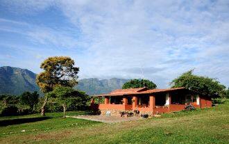 The Eco Camp, Masinagudi 1